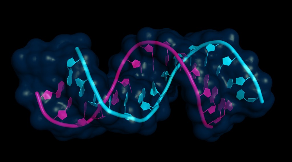 <span class="entry-title">New Insights Into Immune Cells’ Behavior in MS May Lead To New Therapeutic Approach</span><span class="entry-subtitle">Study finds modulating microRNA activity could impact the progression of diseases such as multiple sclerosis</span>