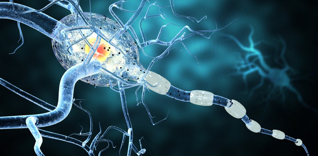 <span class="entry-title">MS Active and Inactive Lesions Differ in Levels of Enzymes that Drive Glucose Metabolism</span><span class="entry-subtitle">Study of key enzymes in energy metabolism may help in understanding of axonal degeneration</span>