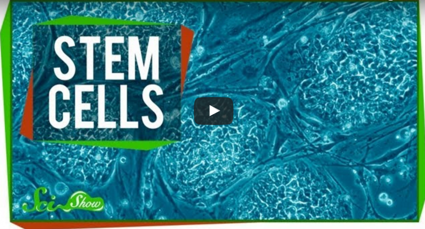 stem cell treatment ms