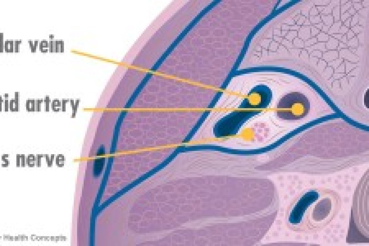 a report on multiple sclerosis a chronic disease Multiple sclerosis is a chronic illness of the central nervous due to the nature of the disease, about 80 percent of people with ms report having fatigue. a report on multiple sclerosis a chronic disease Multiple sclerosis is a chronic illness of the central nervous due to the nature of the disease, about 80 percent of people with ms report having fatigue.