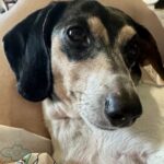 Profile photo of goodwin17