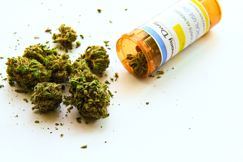 Medical Marijuana and MS