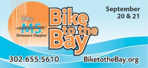 bike around the bay 2020