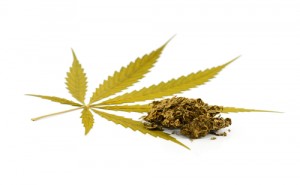 Cannabis MS drug