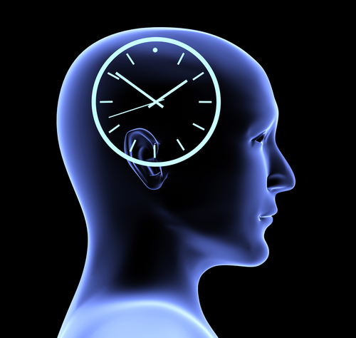 brain processing speed and MS