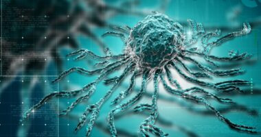 A close-up looks at a stem cell shows its almost spider-like structure.