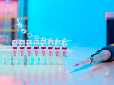 myelin and gut bacteria