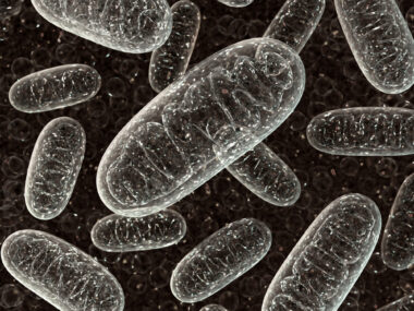 mitochondrial agents