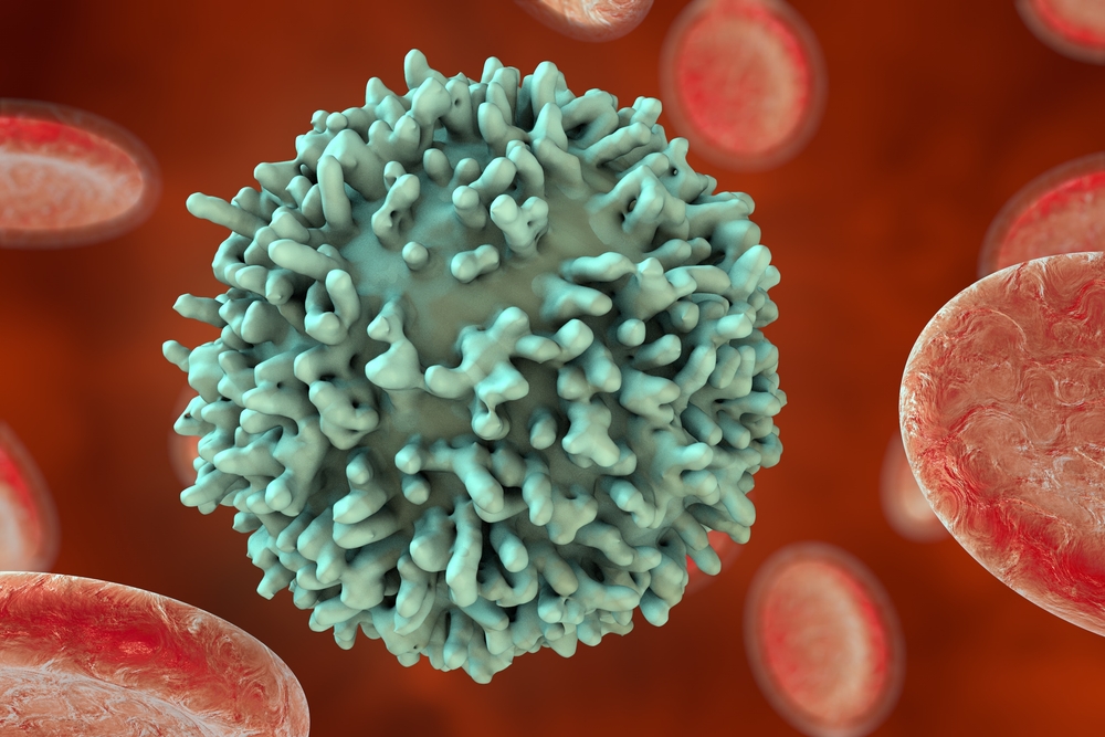 immune cells in MS