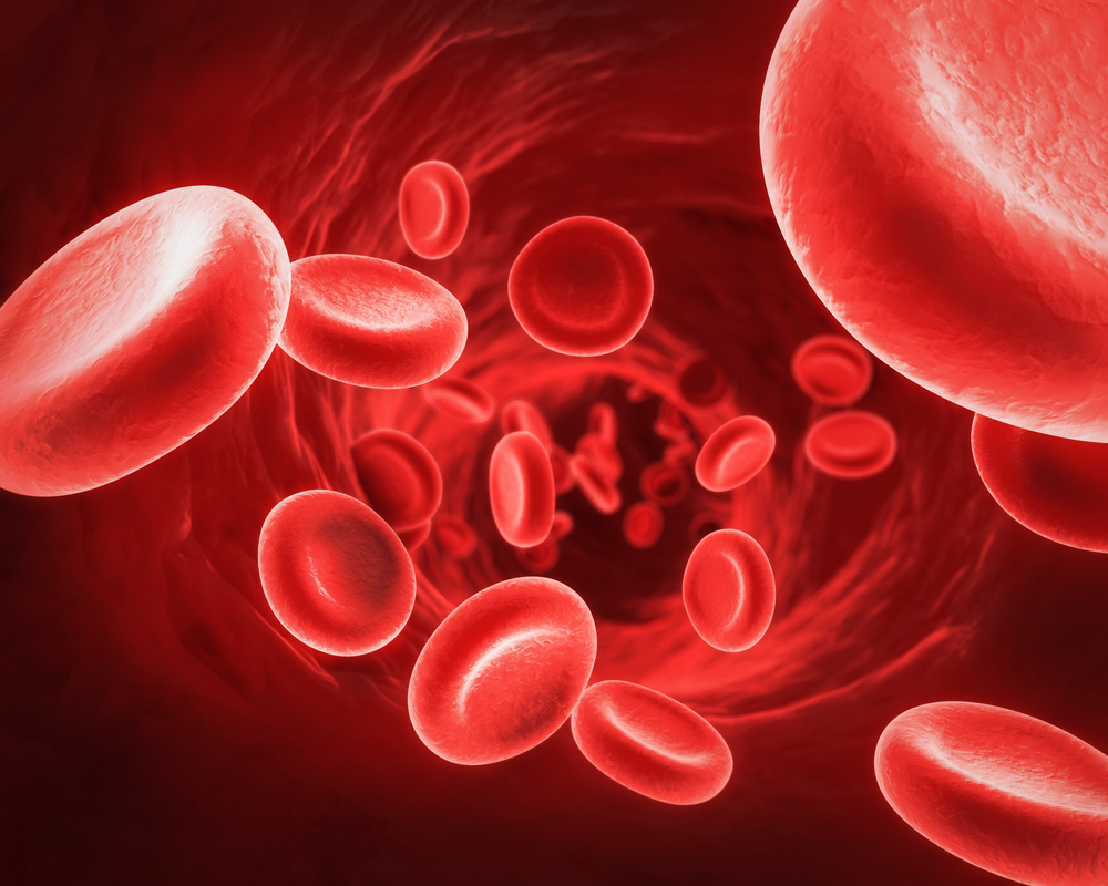 blood biomarkers of MS