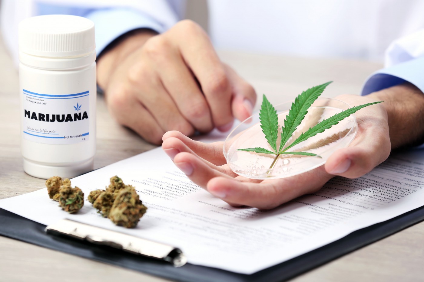 medical cannabis