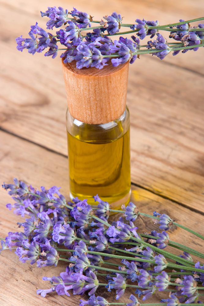 essential oils for multiple sclerosis