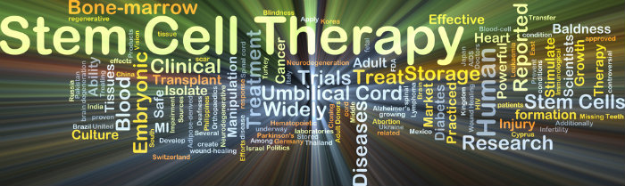 stem cell therapies