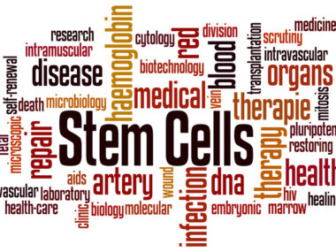 stem cells and cures act