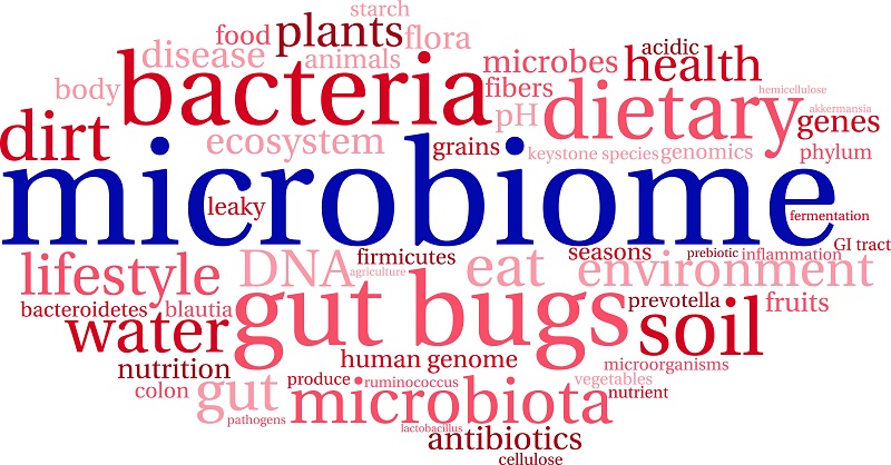 microbiome