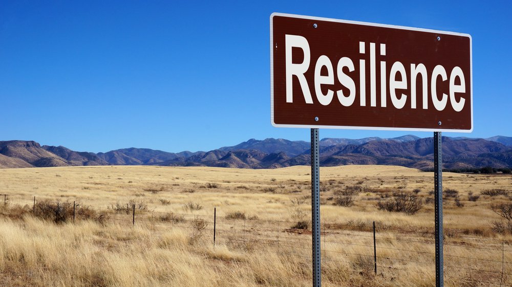 MS resiliency