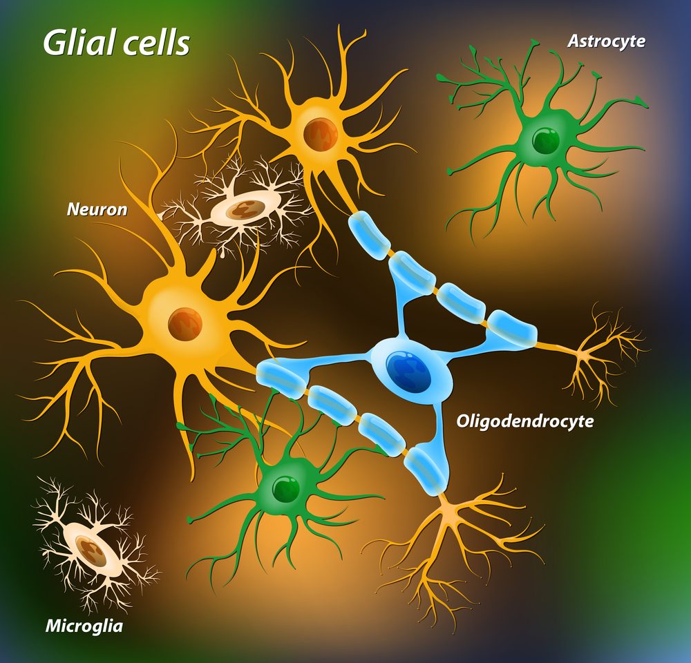 Catching the Flu Can Trigger an MS Relapse by Activating Glial Cells, Study Suggests