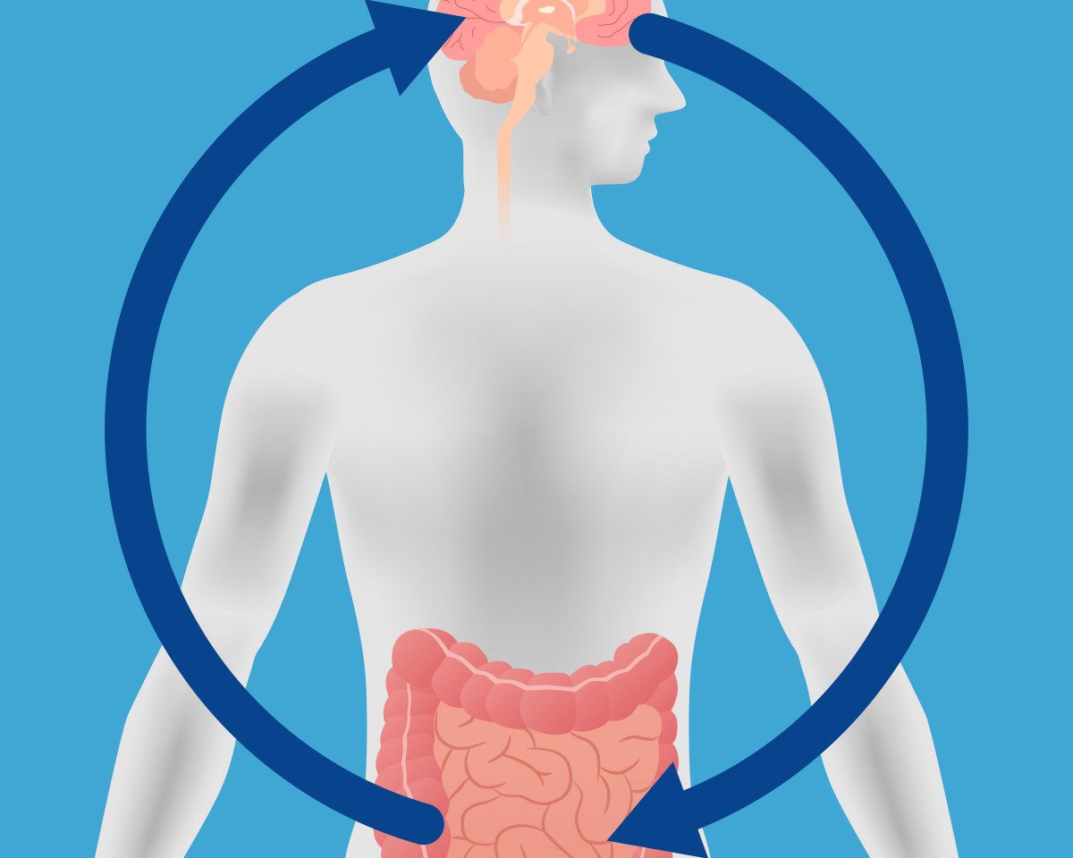 University of California at San Francisco Recruiting MS Patients for Gut Bacteria Study