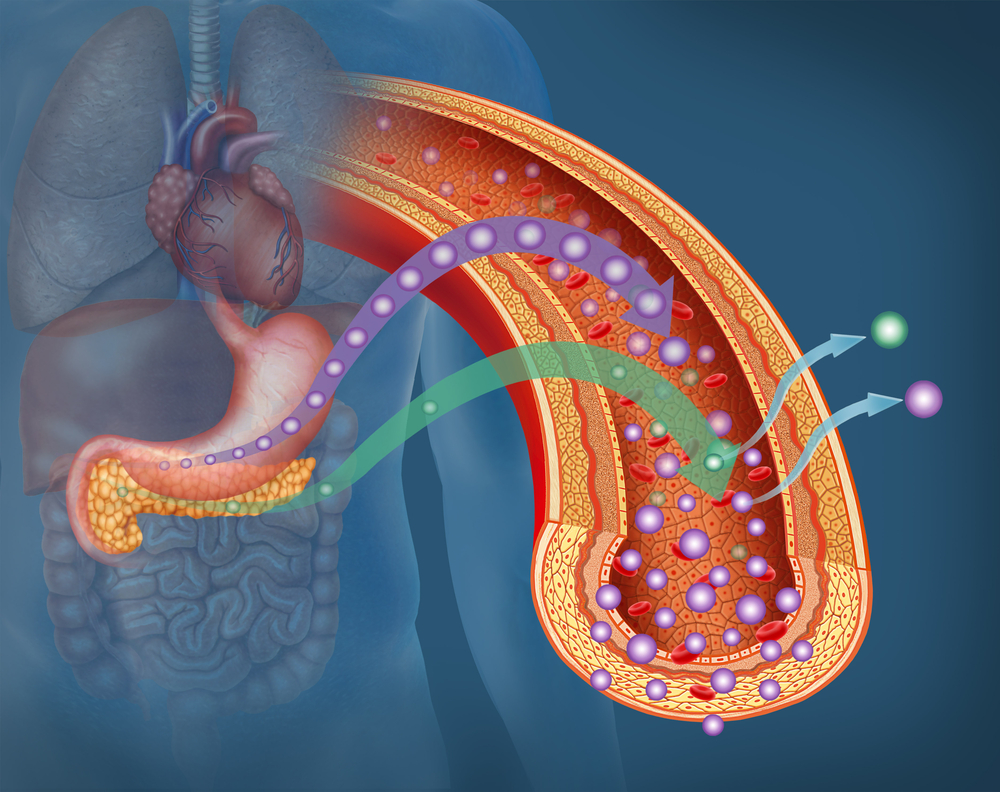 Pancreas factor boosts myelin