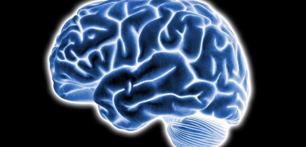 Evidence of Lymph Vessels in Human Brain May Offer New Insights into MS, Other Disorders Evidence of Lymph Vessels in Human Brain May Offer New Insights into MS, Other Disorders
