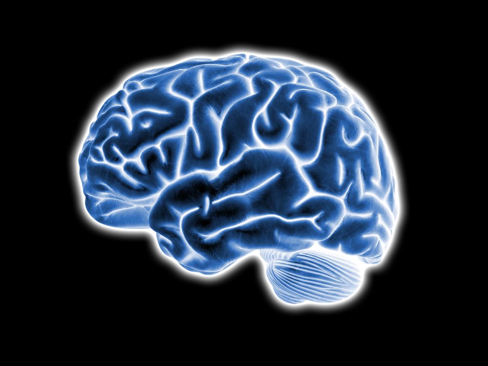 Evidence of Lymph Vessels in Human Brain May Offer New Insights into MS, Other Disorders