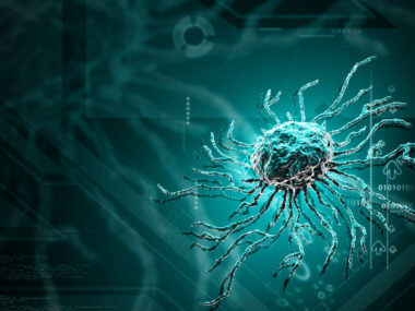 sex, male immune cells