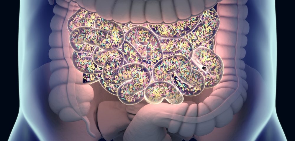 Specific Gut Bacteria May Drive Progression of Multiple Sclerosis, Study Finds Specific Gut Bacteria May Drive Progression of Multiple Sclerosis, Study Finds