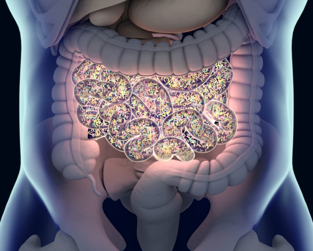 One More Small Piece of the Puzzle on the Role of Gut Micro-organisms in MS
