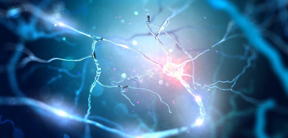 Thin But Persistent Regrowth of Myelin Layers Sign of Health in CNS, Study Says Thin But Persistent Regrowth of Myelin Layers Sign of Health in CNS, Study Says