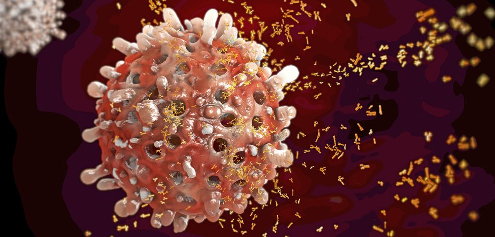 Researchers Identify Quality Control Regulatory Cells That Prevent the Production of Autoantibodies Researchers Identify Quality Control Regulatory Cells That Prevent the Production of Autoantibodies