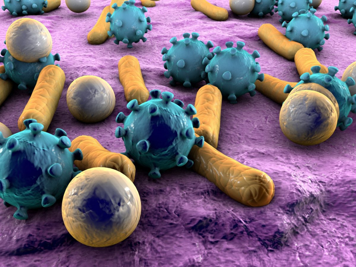 In MS, Vegetable-rich Diet Promotes Bacteria That Fights Inflammation