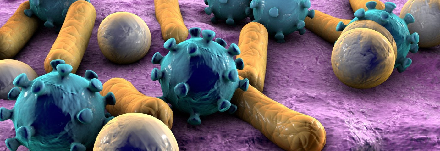Vegetable-rich Diet Promotes Bacteria That Fights Inflammation in MS, Study Shows Vegetable-rich Diet Promotes Bacteria That Fights Inflammation in MS, Study Shows