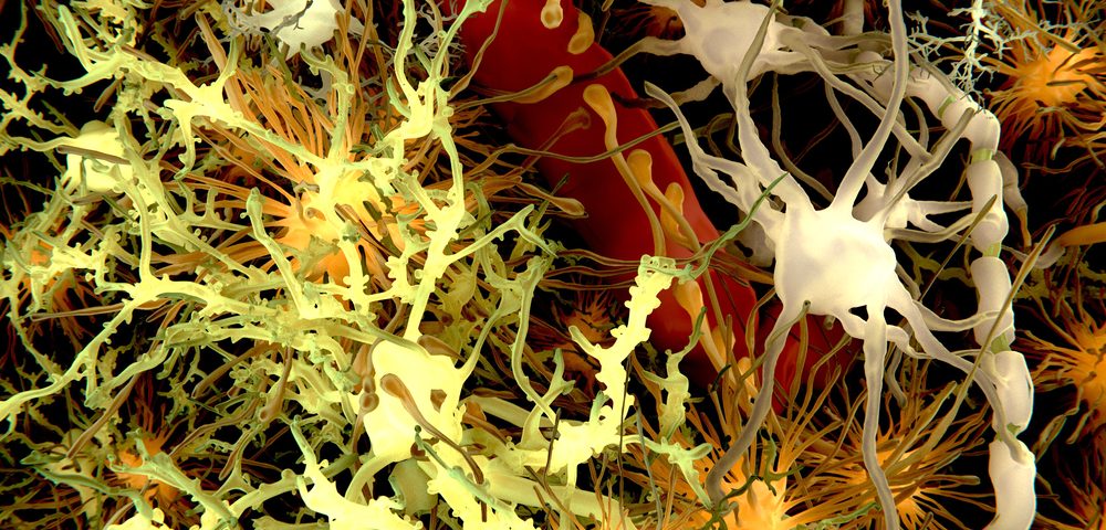 Taurine Seen to Boost Effectiveness of MS Therapies in Remyelination Process, Study Shows Taurine Seen to Boost Effectiveness of MS Therapies in Remyelination Process, Study Shows
