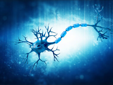 remyelination Convelo Genentech collaboration