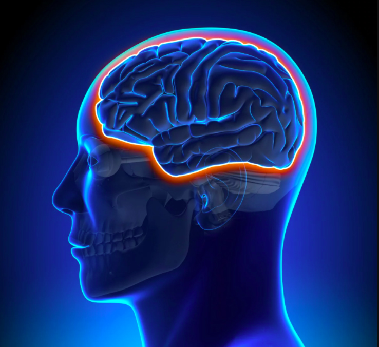 NeuroQuant MRI software