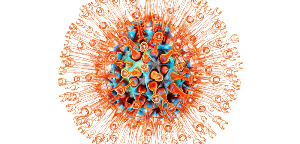 Human Herpes Virus 6 May Increase Risk of MS, Study Suggests Human Herpes Virus 6 May Increase Risk of MS, Study Suggests
