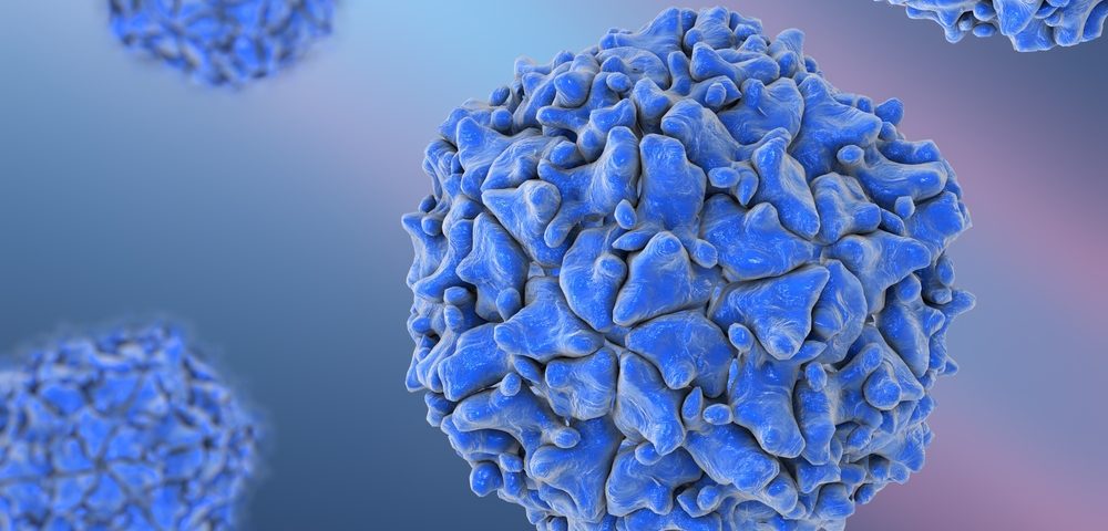 Immune Cells in the Gut Can Suppress Brain Inflammation in MS, Pre-clinical Study Finds Immune Cells in the Gut Can Suppress Brain Inflammation in MS, Pre-clinical Study Finds