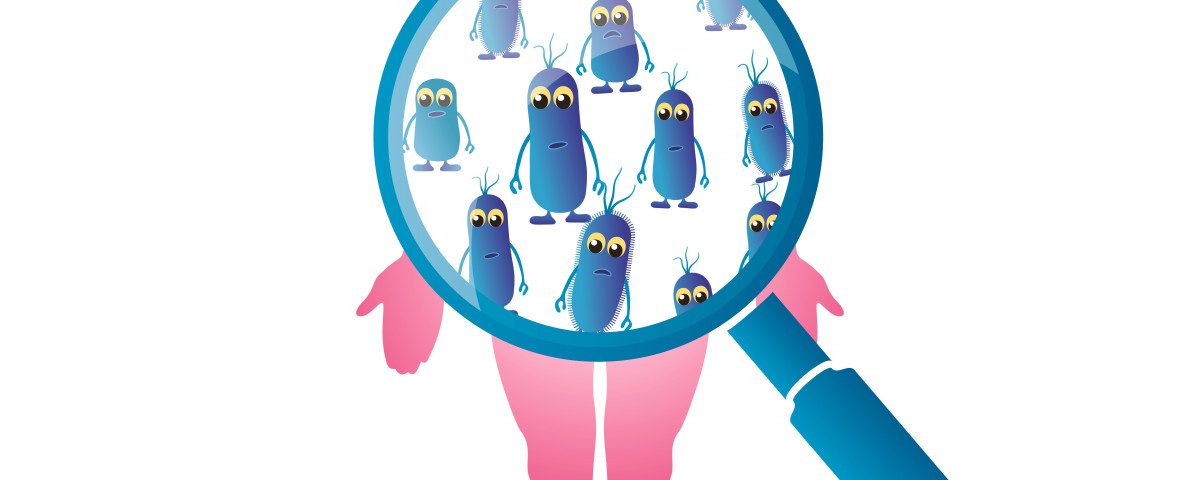 Gut Microbiome May Offer Way to Ease or Halt Brain Inflammation, Study Suggests Gut Microbiome May Offer Way to Ease or Halt Brain Inflammation, Study Suggests