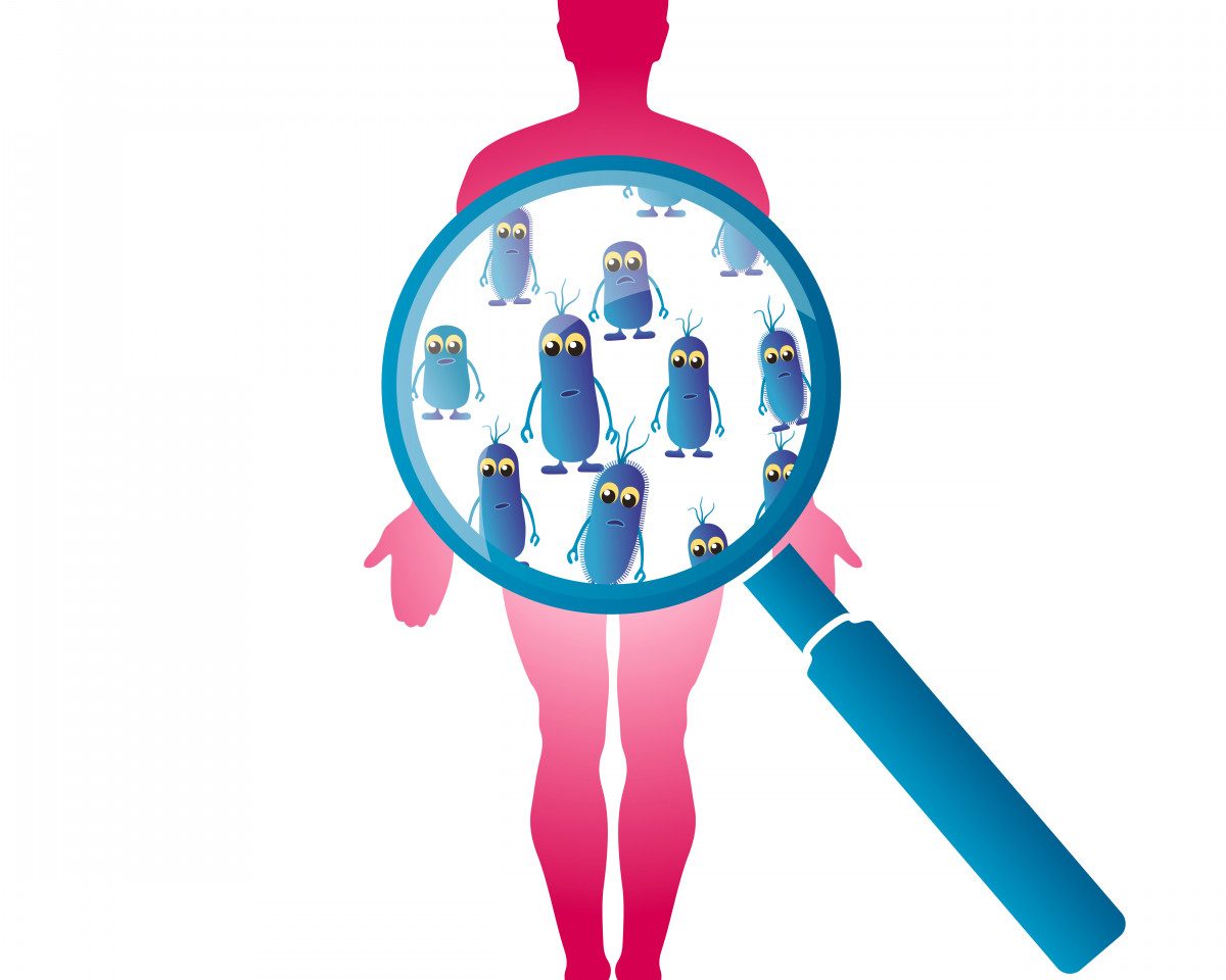 Study Suggests Brain Inflammation Is >> Gut Microbiome In Ms Patients May Offer Way To Halt Brain Study Suggests Brain Inflammation Is >> Gut Microbiome In Ms Patients May Offer Way To Halt Brain