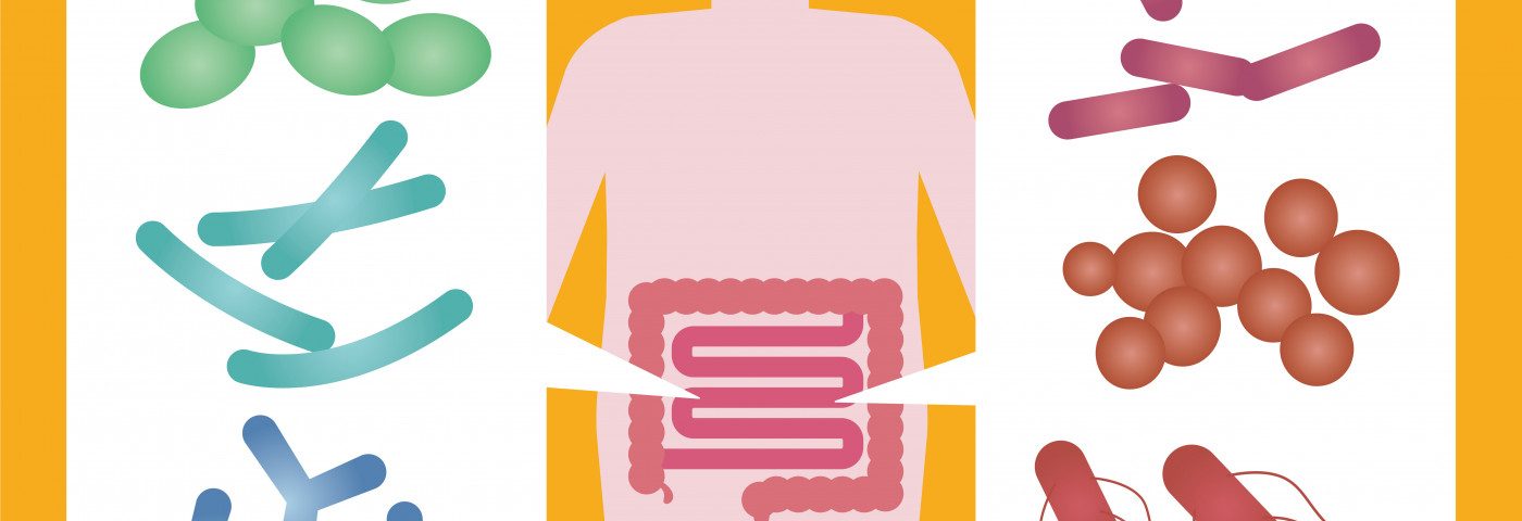 Enzyme Produced by Gut Bacteria Linked to T-cell Attacks on Myelin in Study Enzyme Produced by Gut Bacteria Linked to T-cell Attacks on Myelin in Study