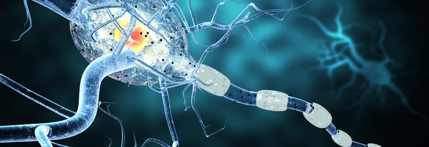 Adult Oligodendrocytes May Replenish Myelin Production in MS, Study Suggests Adult Oligodendrocytes May Replenish Myelin Production in MS, Study Suggests