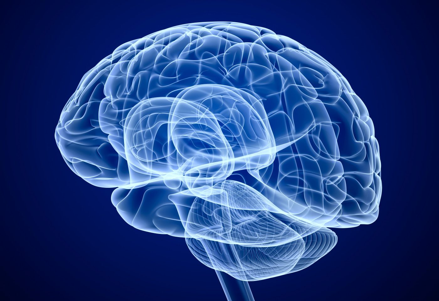 Decline in Brain Volume Driven by Gray Matter Atrophy in MS Patients Despite Tysabri Treatment