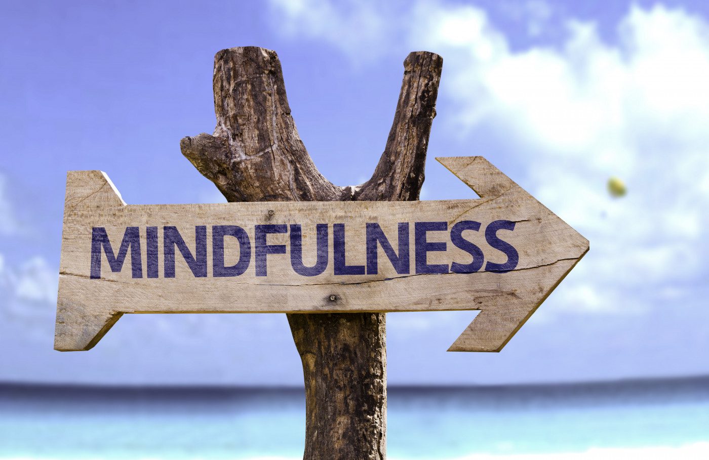 Mindfulness: Putting Mind Over MS