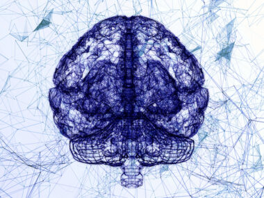 stem cell transplant study