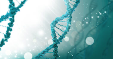 gene variants and MS