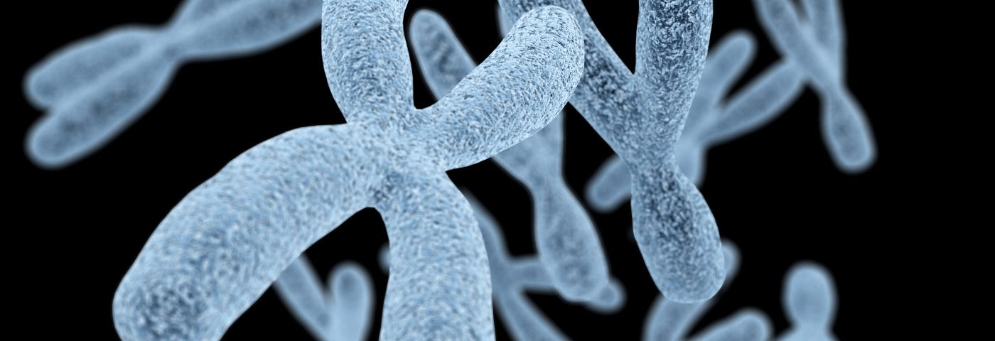 Gene on X Chromosome May Be Reason Women at Higher Risk of MS, Study Says Gene on X Chromosome May Be Reason Women at Higher Risk of MS, Study Says