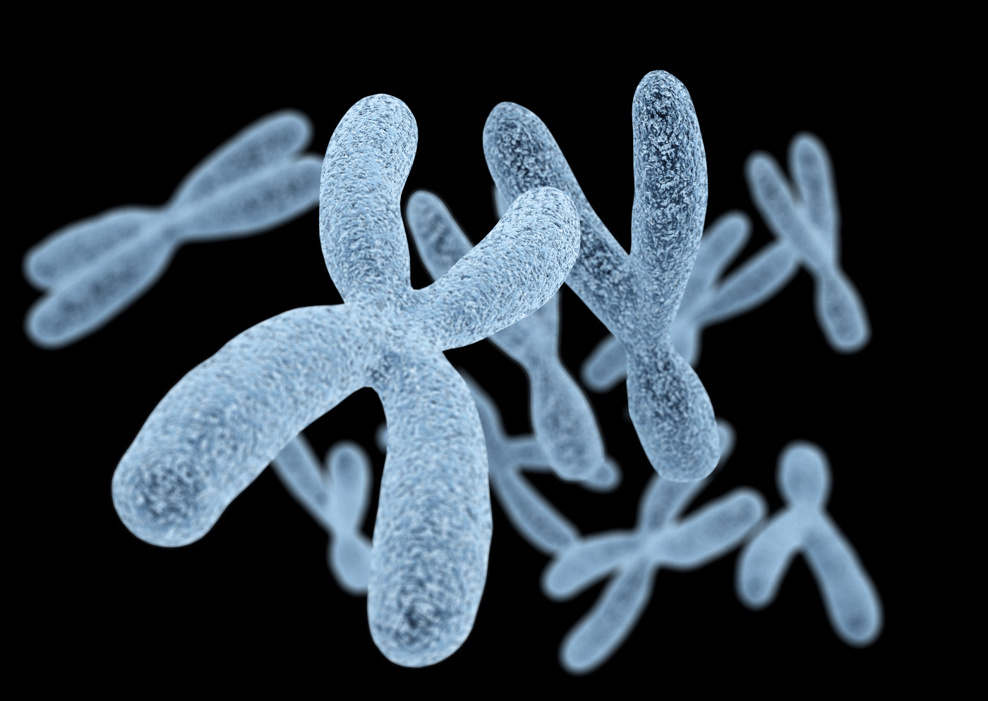 X chromosome and disease
