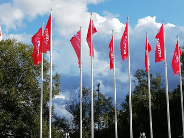 ofatumumab Stephen Hauser interview