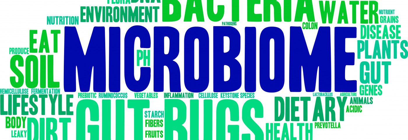 Altered Fear Response, Changes in Brain Chemistry Seen in Mice with Poor Gut Microbiota Altered Fear Response, Changes in Brain Chemistry Seen in Mice with Poor Gut Microbiota