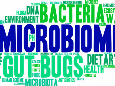 microbiota and brain health